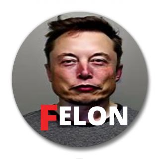 Elon the Felon